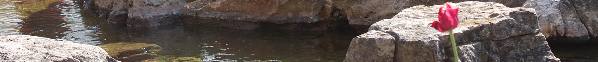 waterfall.jpg