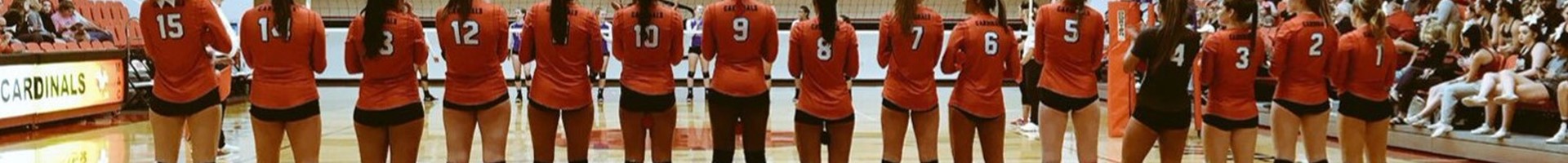 Volleyball Banner.jpg