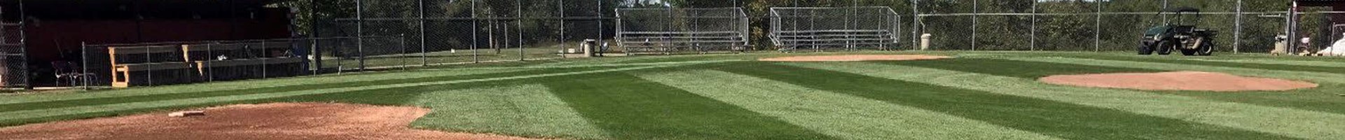 Baseball Banner.jpg (1)