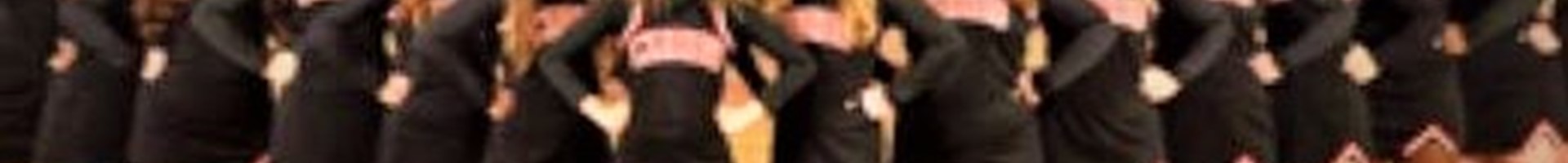 Cheerleaders Banner.jpg (4)