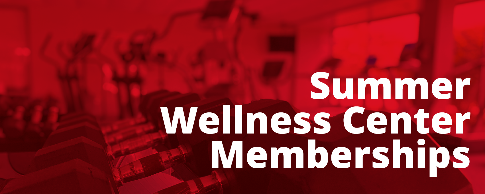 Summer Wellness Web.png