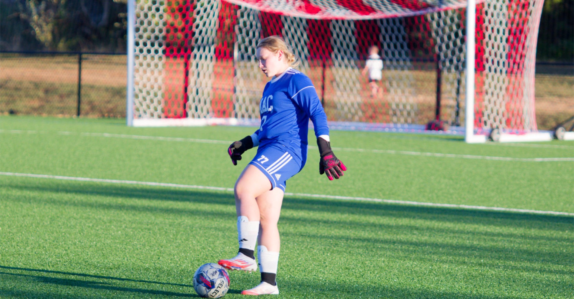 Mineral Area College