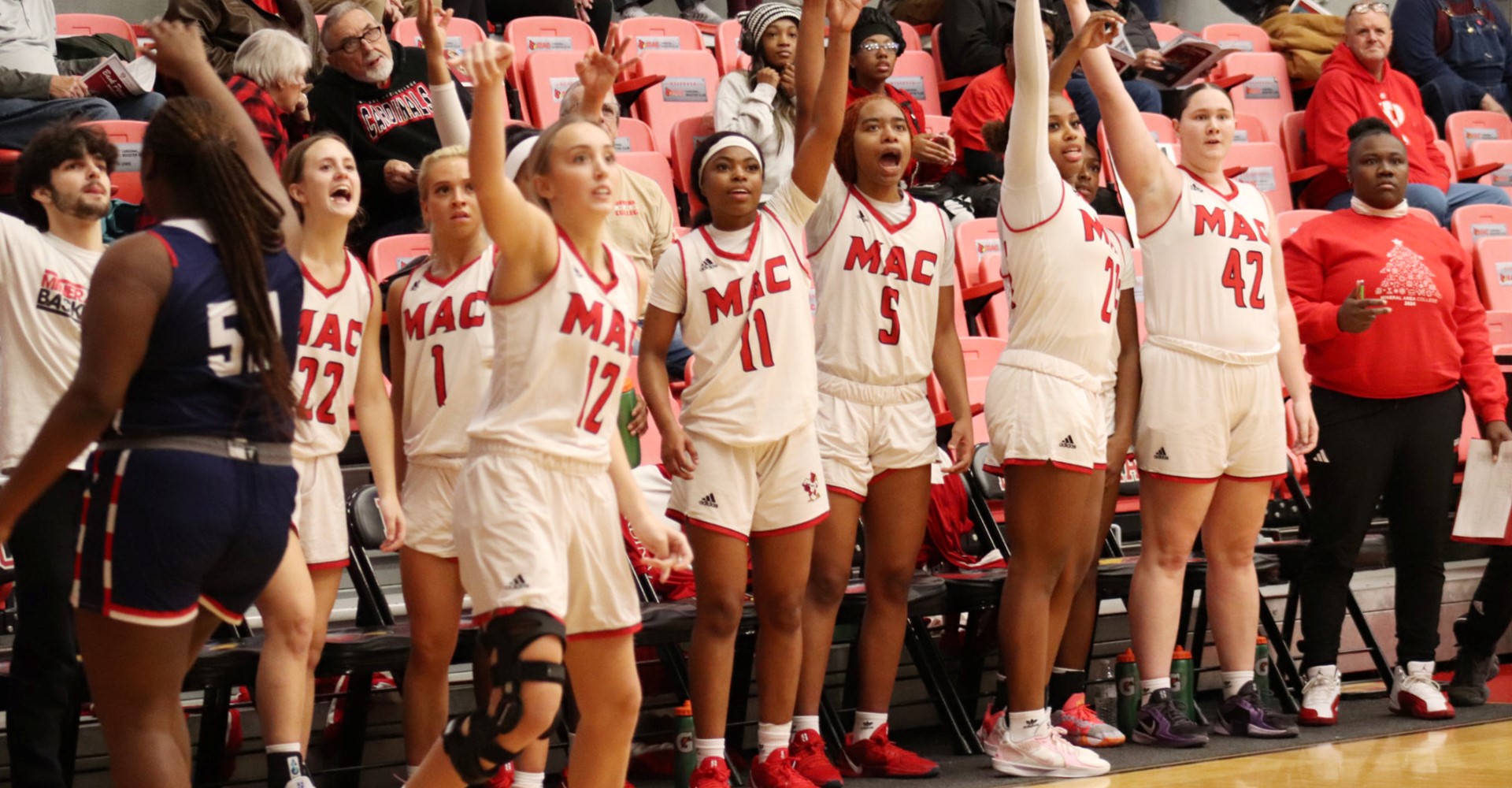 wbb bench.jpg