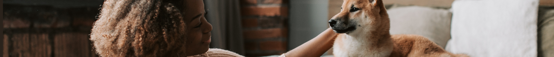 AAI_Web Banner.png