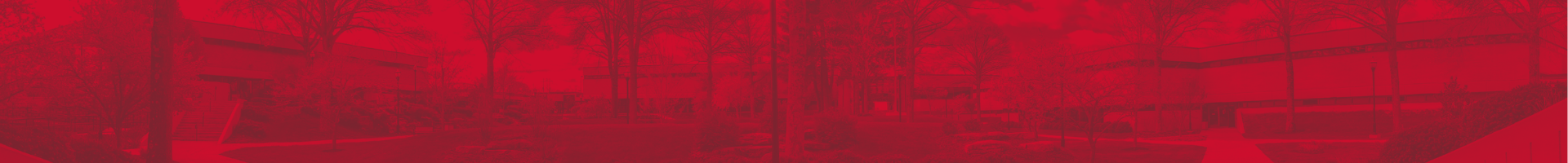 Campus Panoramic Duotone.png
